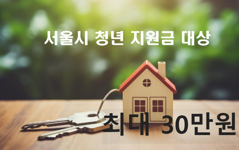 서울 청년 월세 지원금 2025