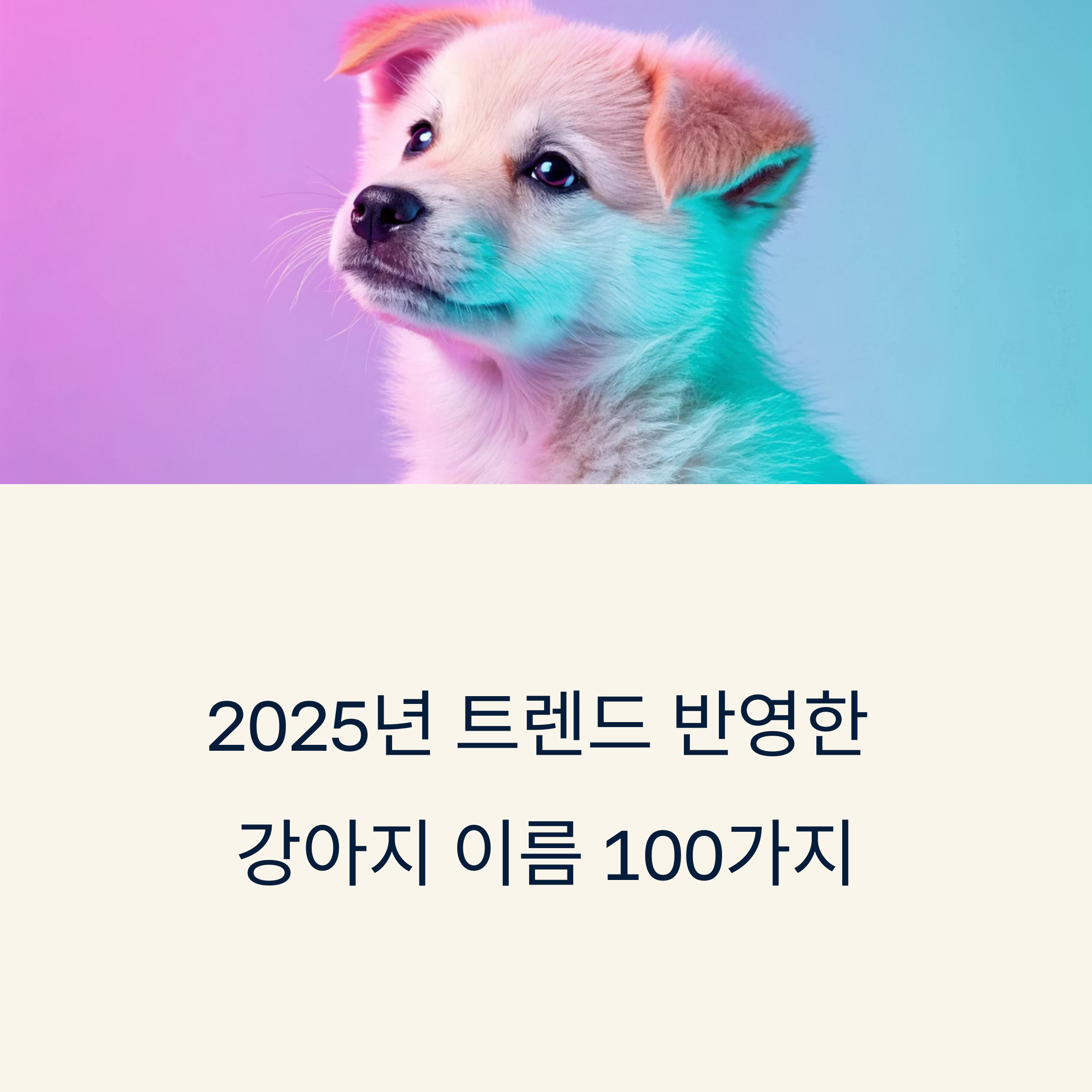 2025년 트렌드 반영한 강아지 이름 100가지