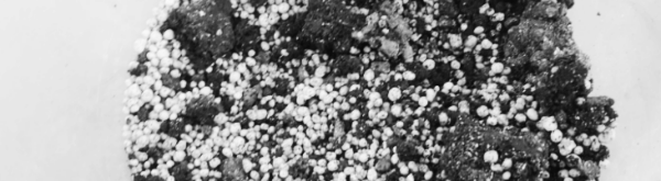 유박비료 주는시기: 정식 20일 전