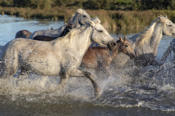 등기부등본 인터넷발급 2025 6