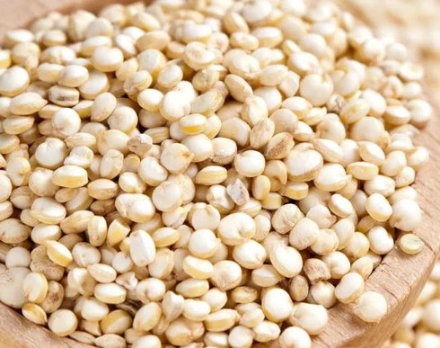 슈퍼푸드 퀴노아 효능 및 부작용, 영양성분, 먹는법(밥짓기, 이유식, 샐러드)