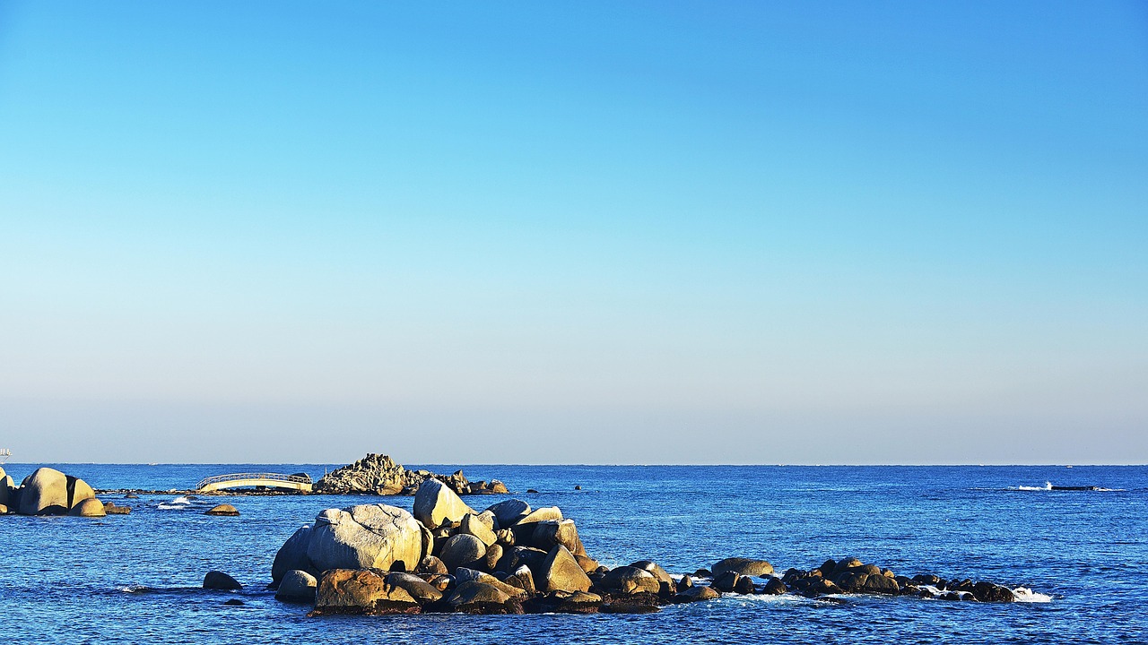 봉포항 전경사진