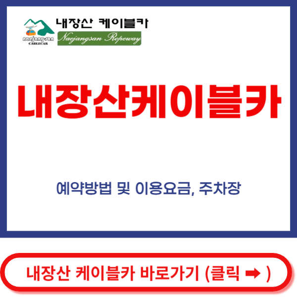 내장산케이블카