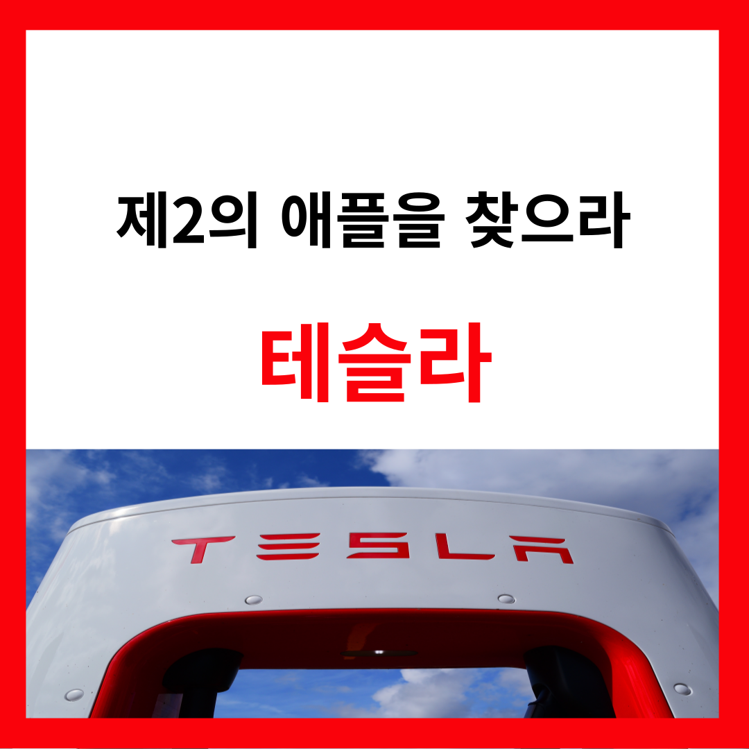 썸네일-제2의 애플을 찾으라-테슬라