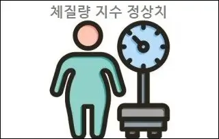체질량 지수 정상치