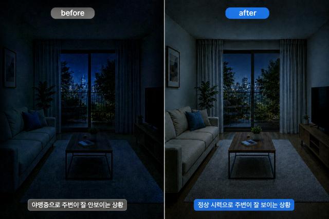 살구 어디에 좋은가요 살구 효능 부작용 야맹증 시력개선