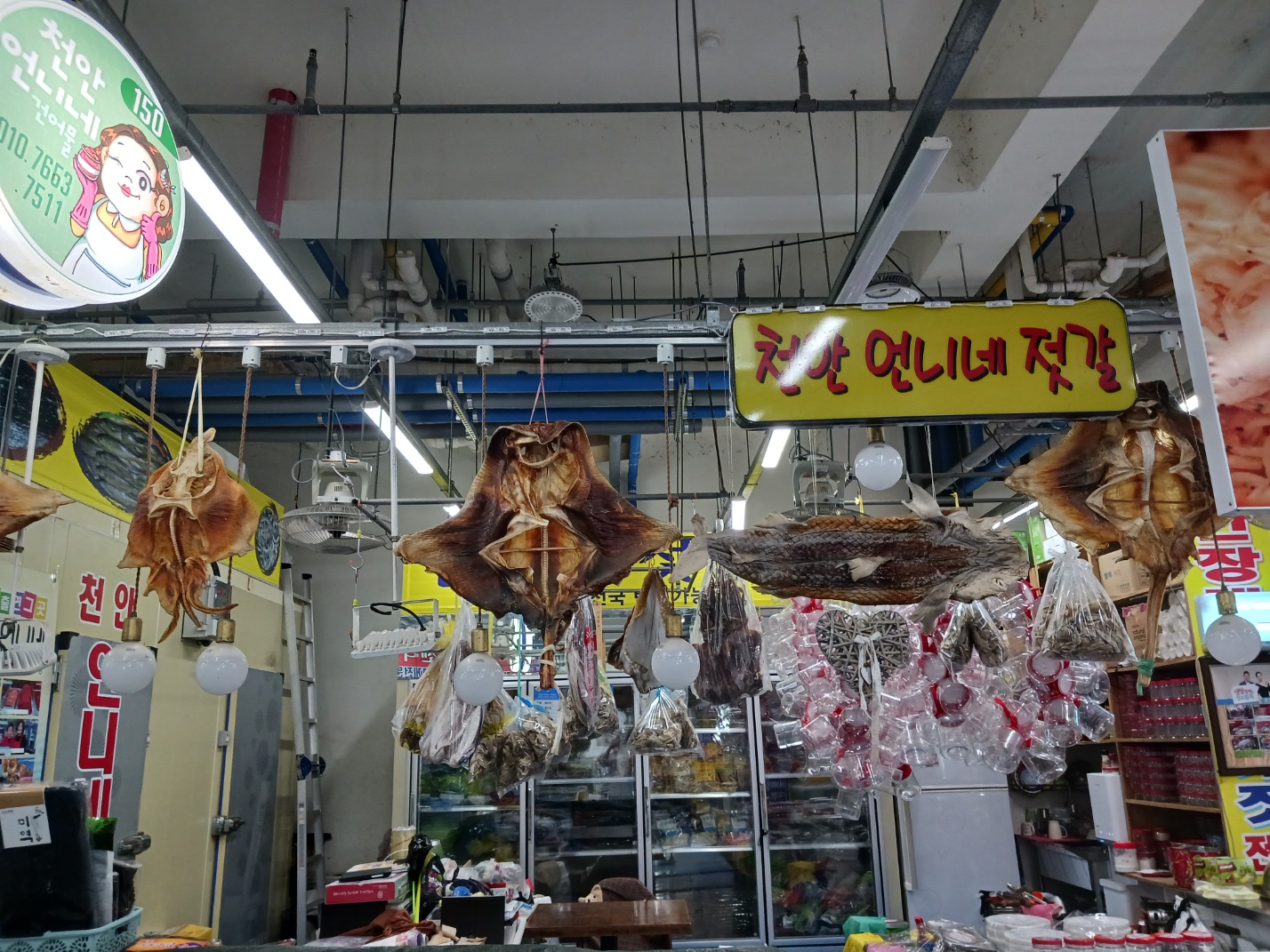 삽교호전망대종합어시장