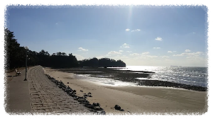 백사장해수욕장