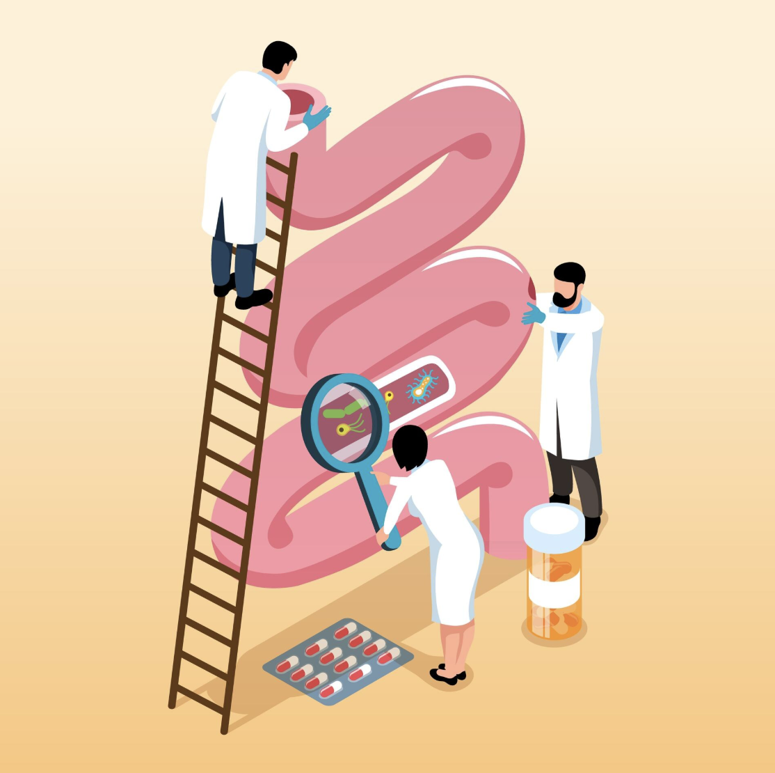 수면 비수면 대장내시경 비용 국가검진 폴립 제거