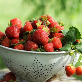 만성 췌장염에 좋은 음식 영양제 식단