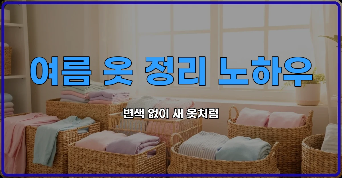 여름옷정리