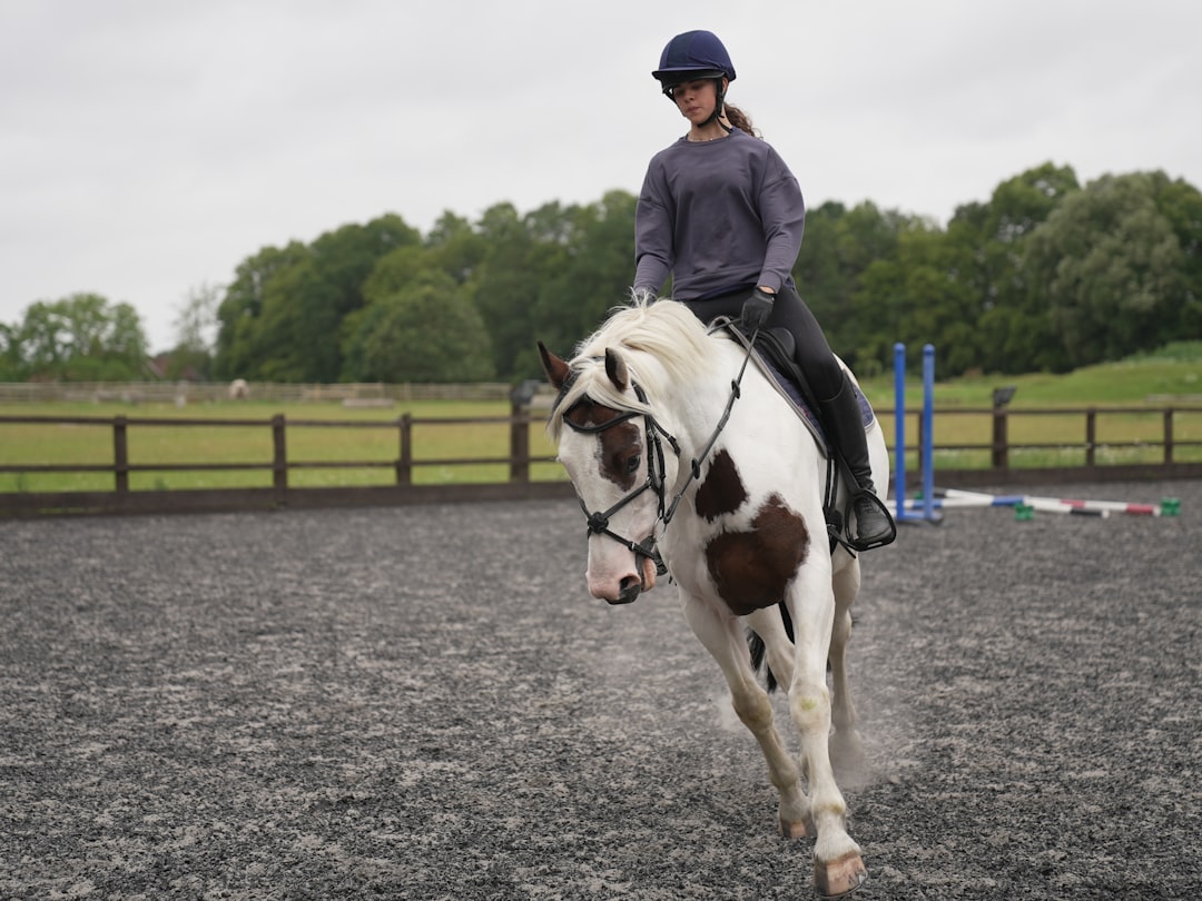 Trot