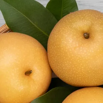 나주배 효능 특징 수확시기제철손질먹는방법나주배 보관 방법 안내_10