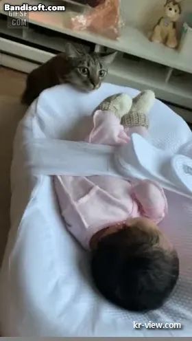 img.webp?credential=yqXZFxpELC7KVnFOS48ylbz2pIh7yKj8&expires=1767193199&allow_ip=&allow_referer=&signature=p3xW9Oxo2Q293w9%2FMc9Vnj9EMU8%3D