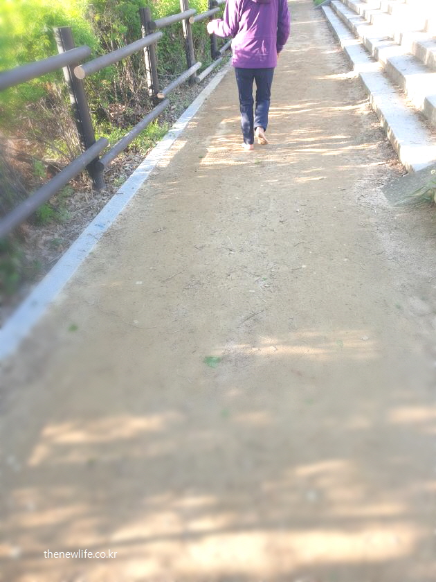 Barefoot walking on a soft dirt path at Amsa Ecological Park-암사생태공원의 부드러운 흙길. 맨발 걷기 중인 장면