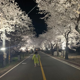 하동 쌍계사