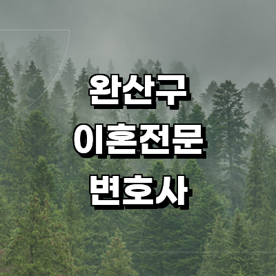 전주 완산구 이혼 변호사