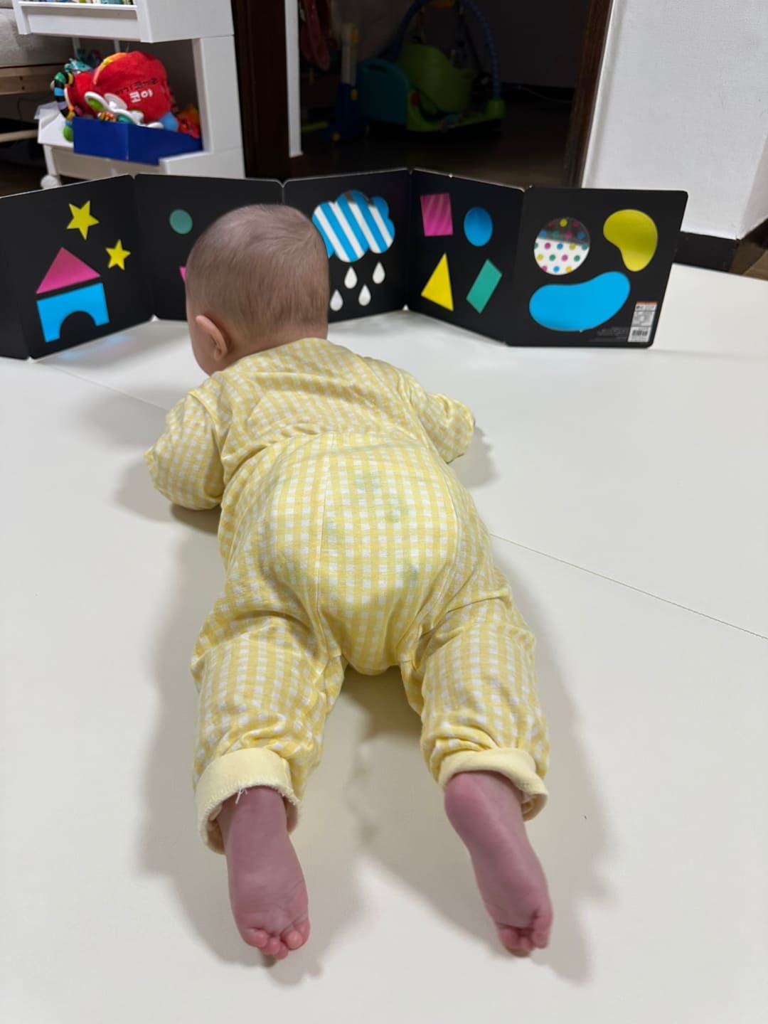 초점책보며 터미타임 하는 모습