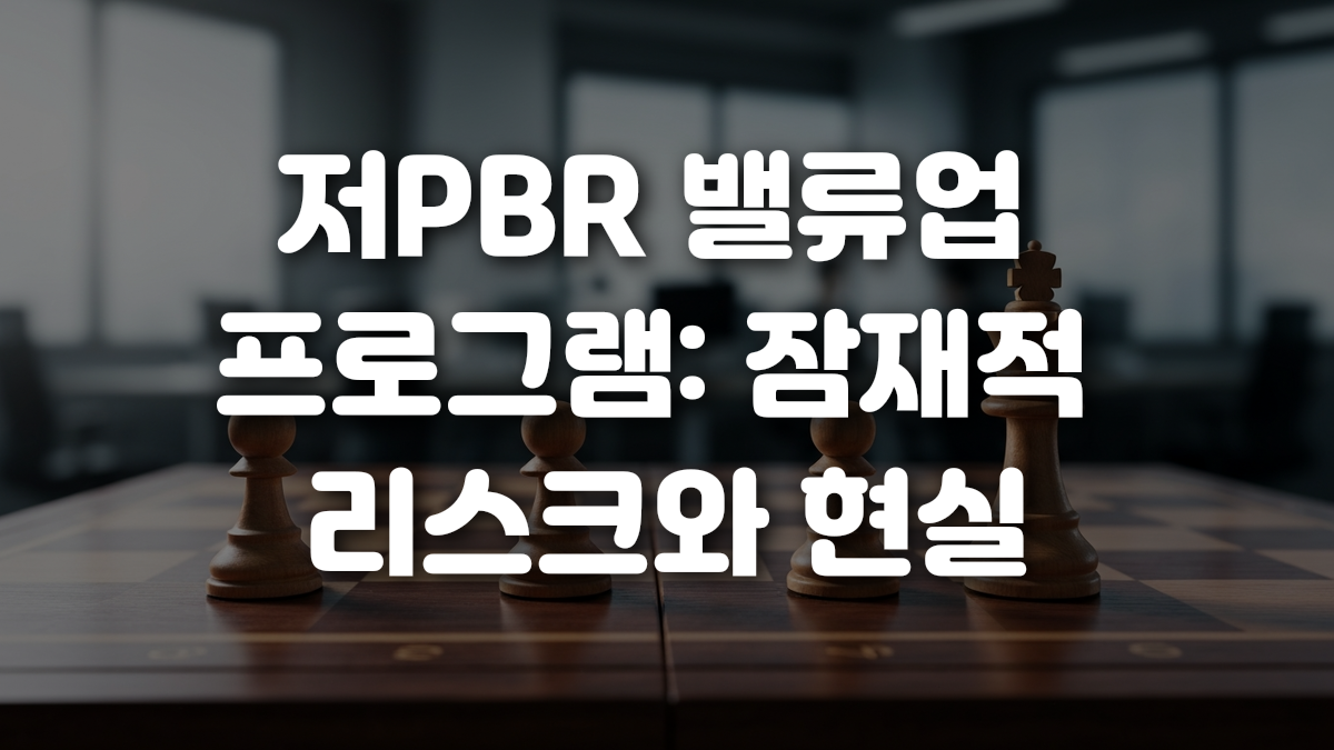 저PBR 밸류업 프로그램 잠재적 리스크와 현실