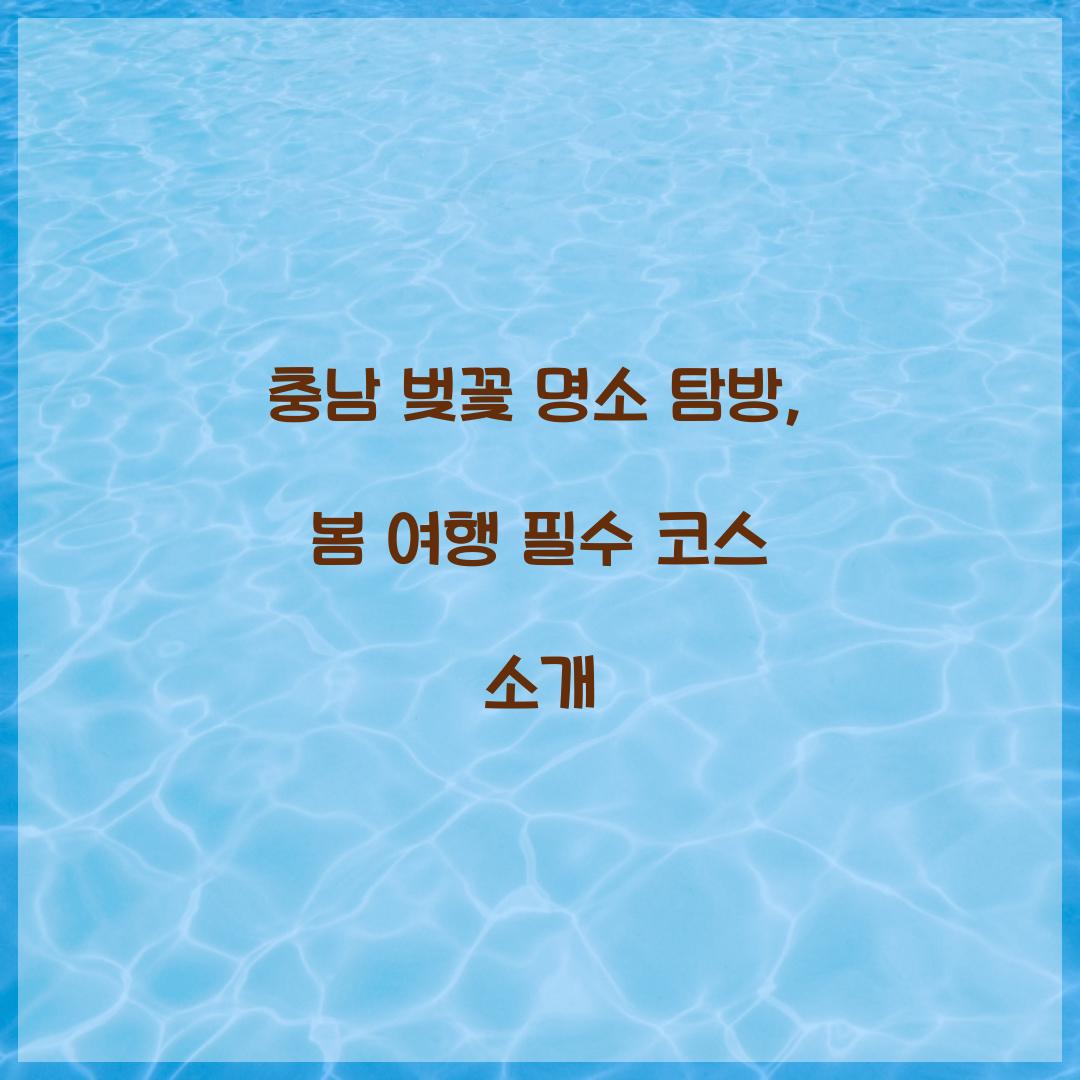 충남 벚꽃 명소