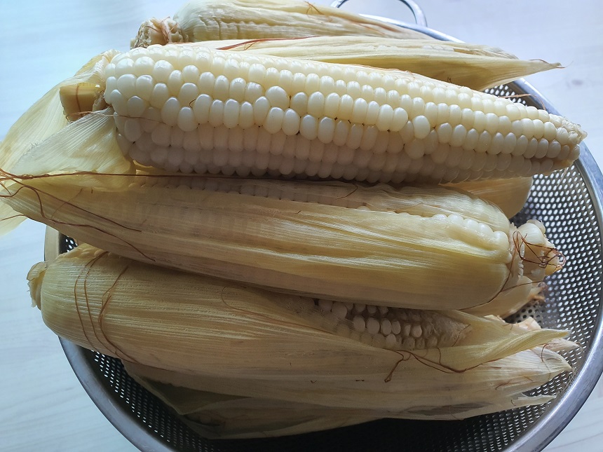 옥수수맛있게삶는법