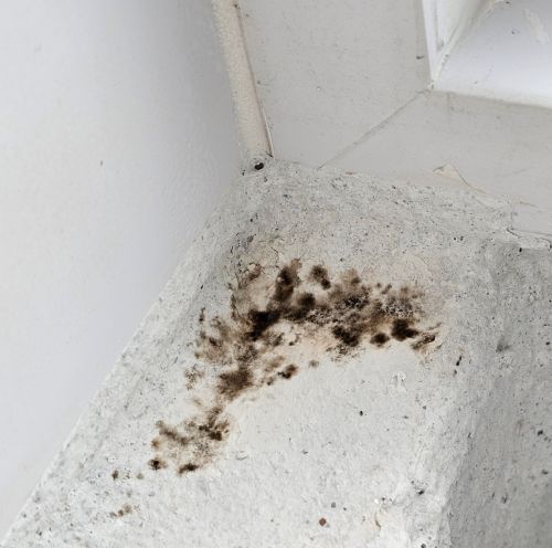 베란다 탄성코트 곰팡이 흔적