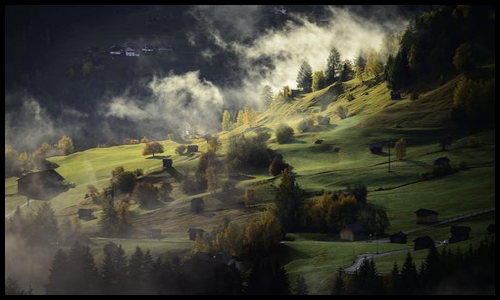 아르기닌 효능 알아보기15