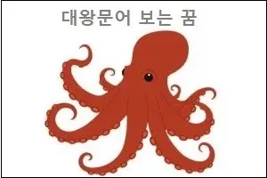 대왕문어 보는 꿈