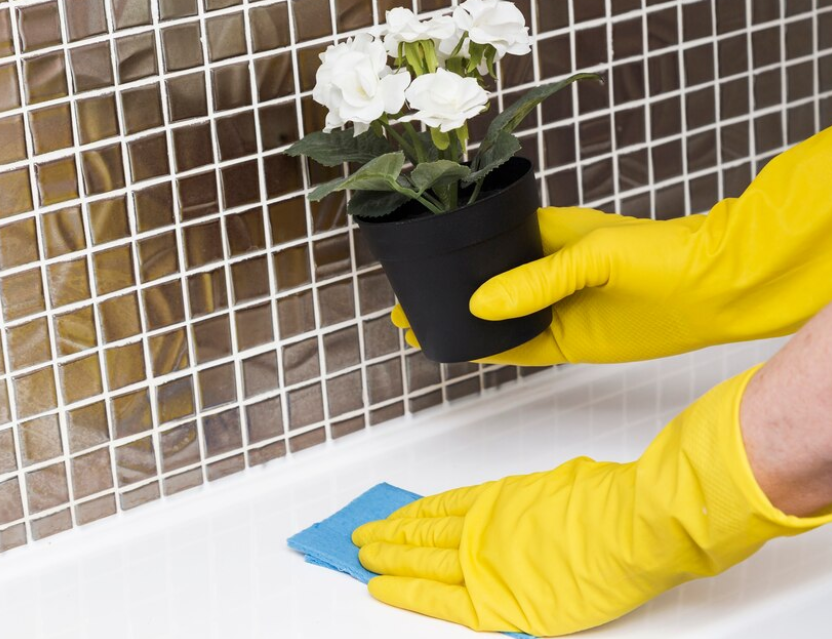 곰팡이 제거 방법