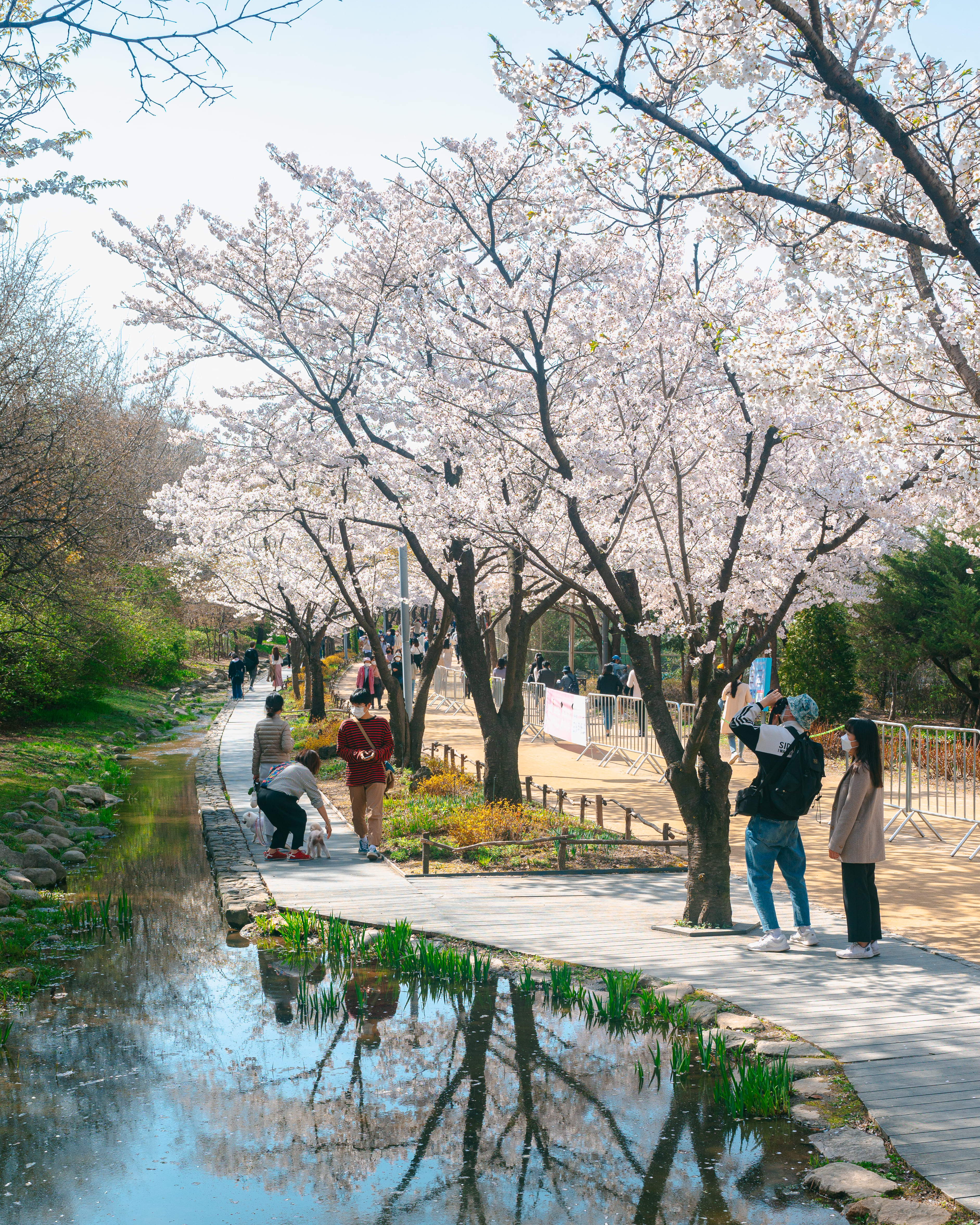 서울숲