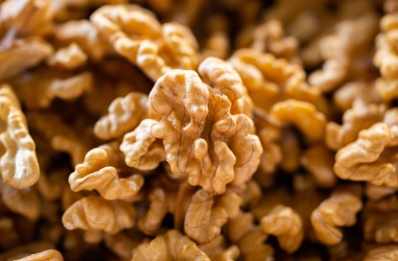 호두 하루 권장 섭취량