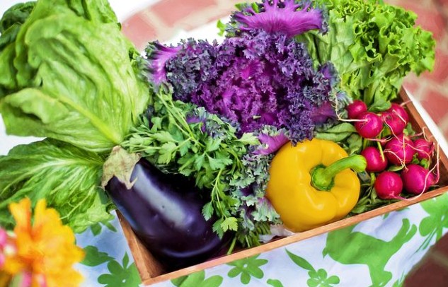 면역력을 쉽게 높이는 방법