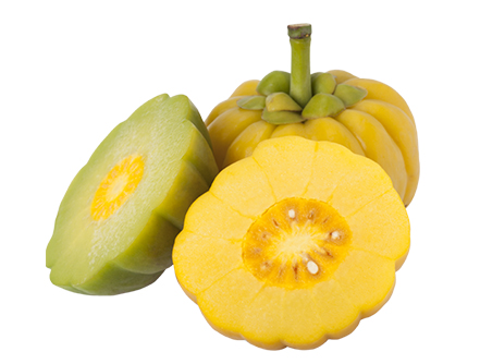 가르시니아 캄보지아22