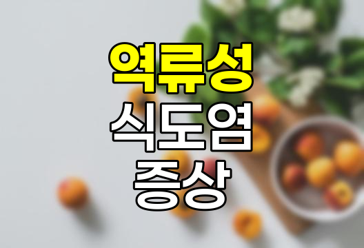 역류성 식도염, 증상, 원인, 좋은 음식 및 예방법 상세 정리