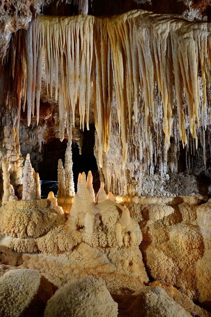 광명동굴 입장료