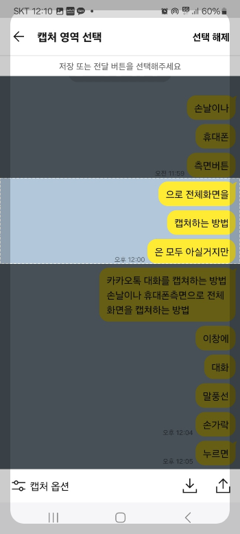 카톡 대화 내용 캡쳐
