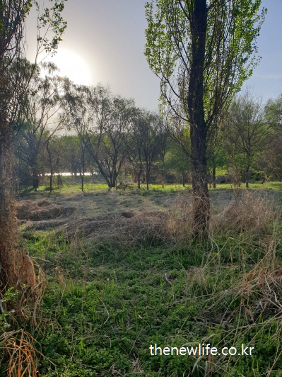 서울 암사생태공원 걷기 좋은 길 &ndash; 자연 그대로 보존된 풀숲과 햇살 가득한 보호구역