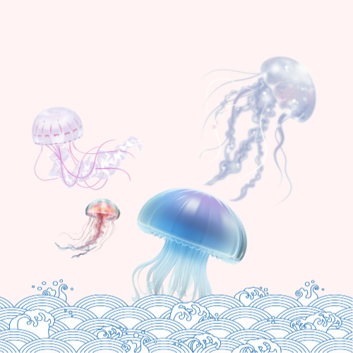 해파리 쏘임 2