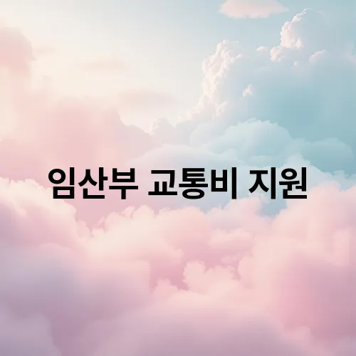 임산부 교통비 지원