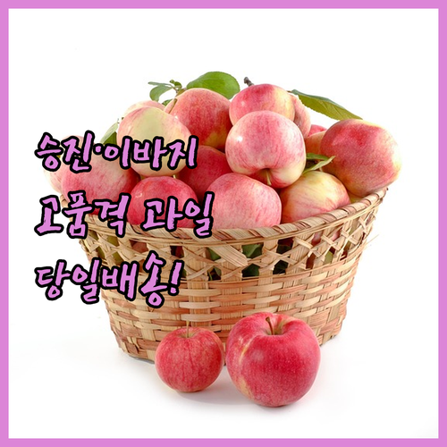 프리미엄 과일바구니 승진 이바지 선물..