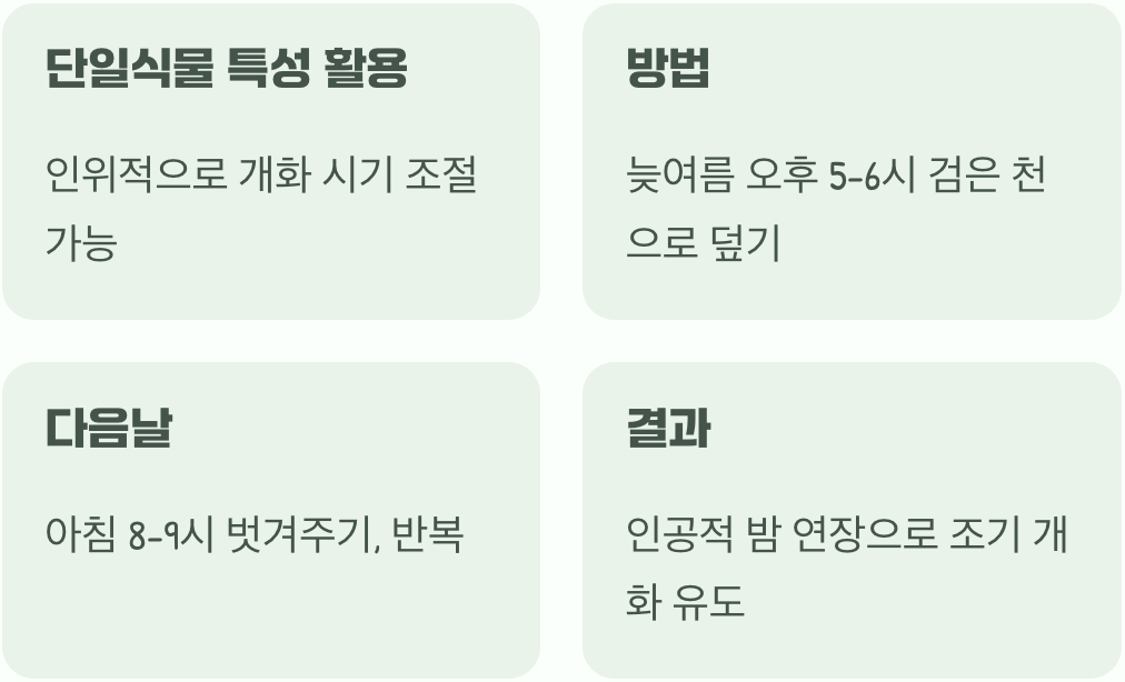 더 일찍 꽃을 보는 작은 비결