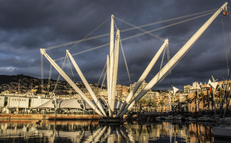 로봇이 환경을 학습하는 방법: 동물의 적응 메커니즘과 비교
