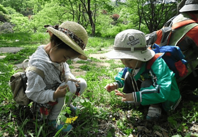 아이랑 인천 가볼만한곳 추천! 오봉산유아숲체험원 체험 프로그램 총정리