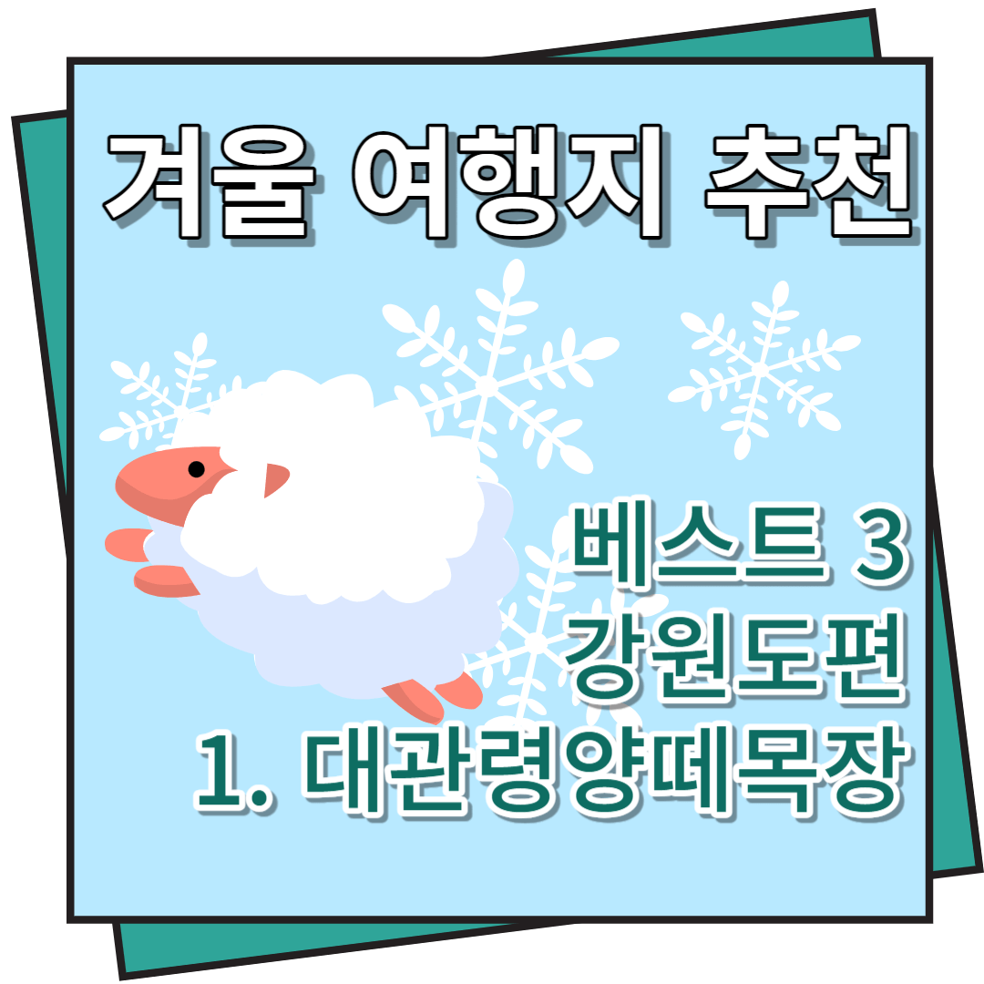 겨울 여행지 추천 대관령양떼목장