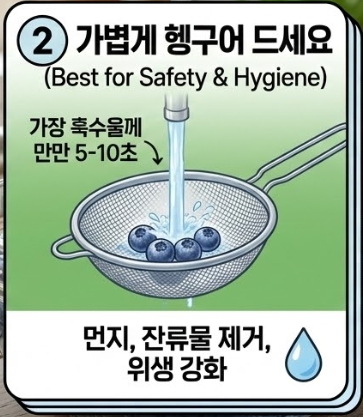 블루베리 세척법