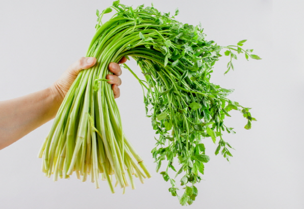 미나리-다이어트-알카리성