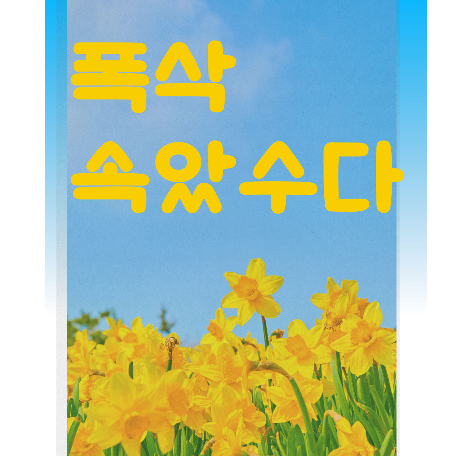 넷플릭스 드라마 폭싹 속았수다 뜻, 등장인물, 기본 정보