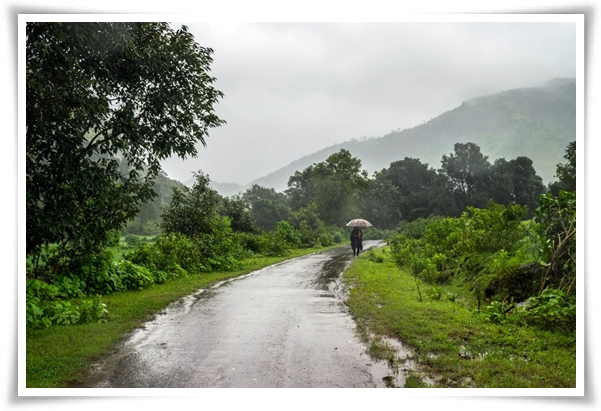 웰빙 &quot;2025년 장마&quot; 폭염과 폭우? 기상청 전망부터 대비까지 총 정리!