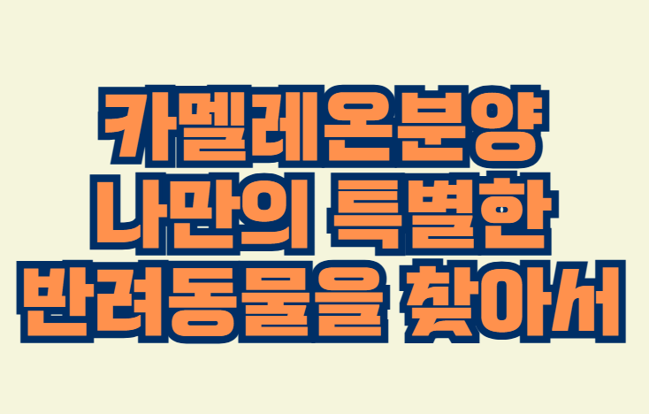 카멜레온분양