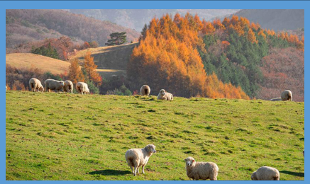 삼양라운드힐-풍경